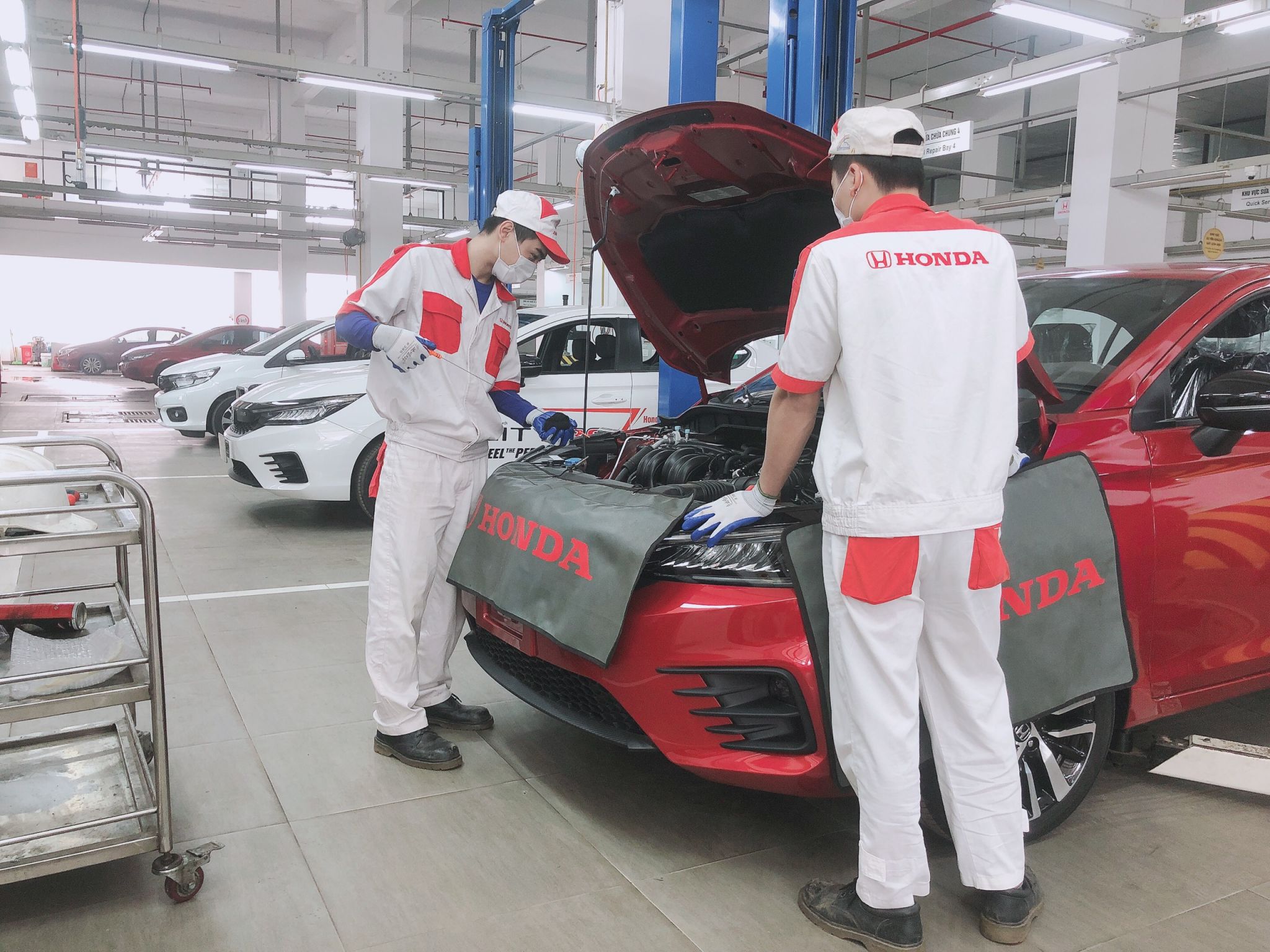 587a5ea7e3362868712713