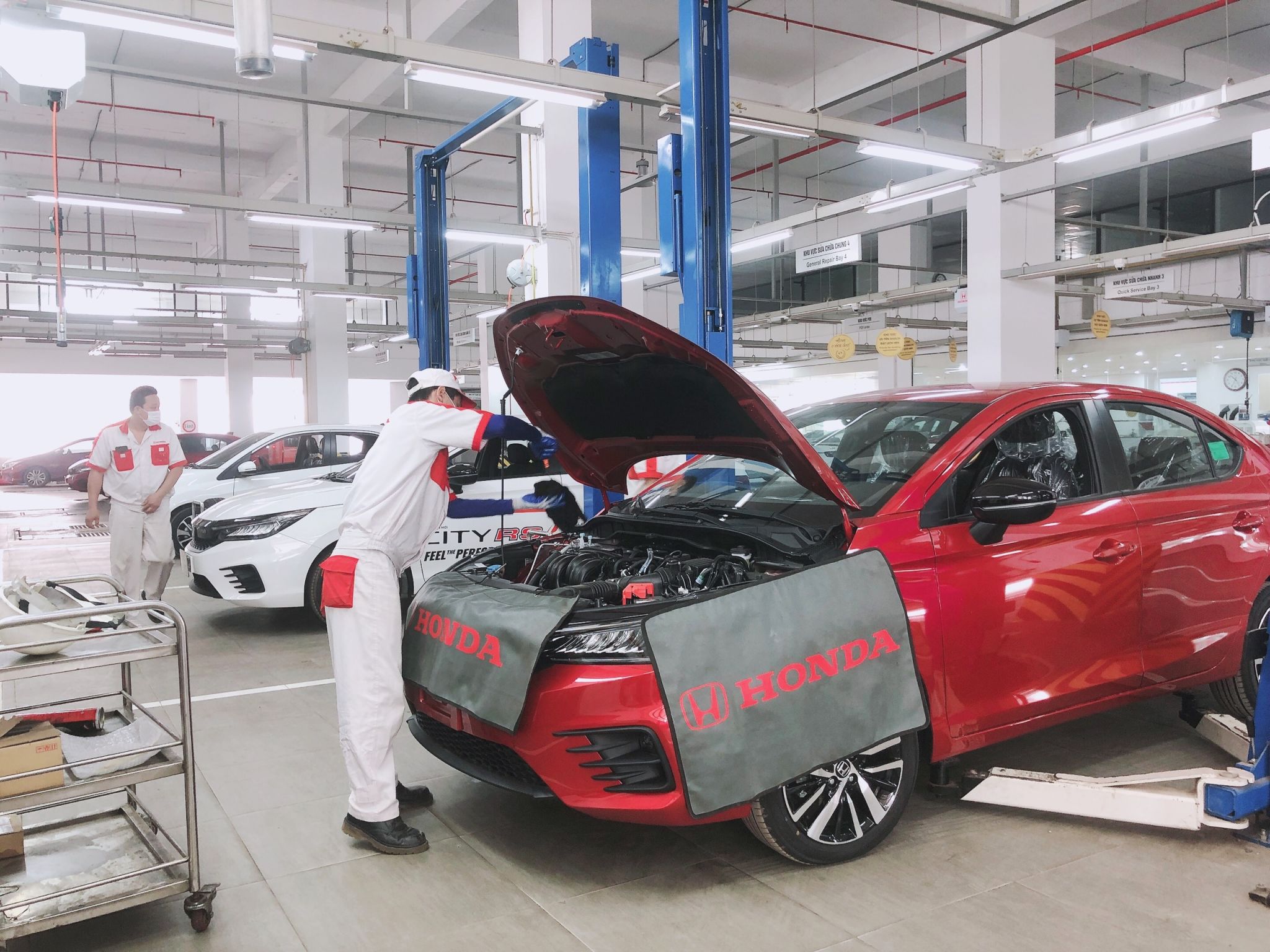 66b66f26d2b719e940a68