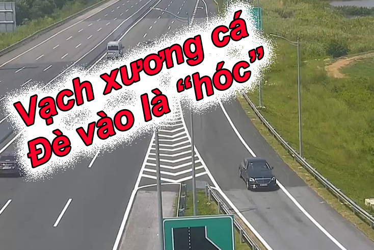 de-vach-xuong-ca-phat-bao-nhieu-5